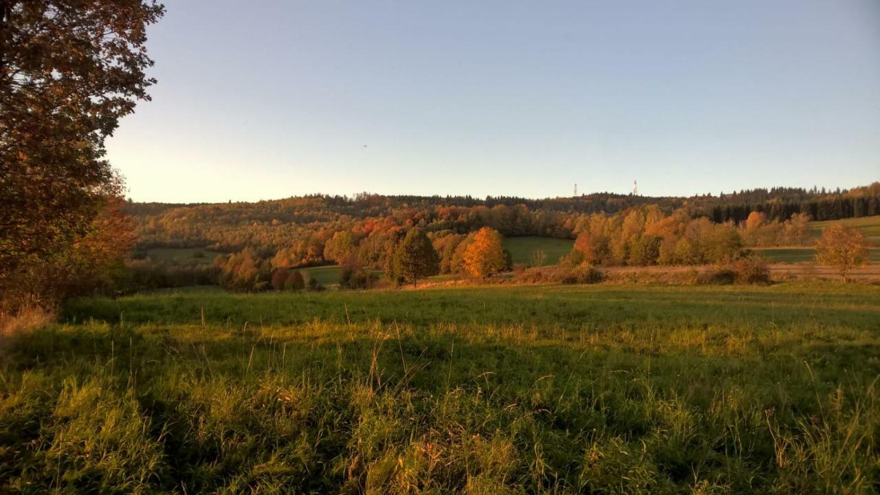 Agroturystyka Ulima Dziwiszow Exterior photo